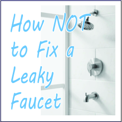 How NOT to Fix a Leaky Faucet - Garies Girl